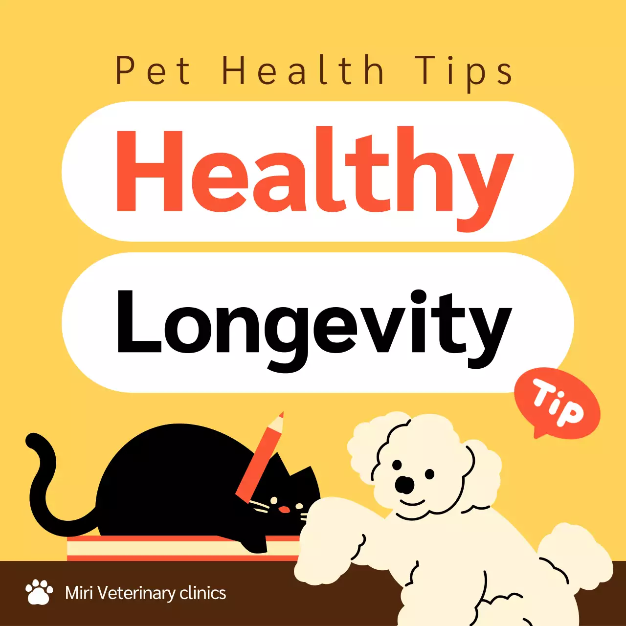 Yellow Minimal Pet Guide Instagram Carousel