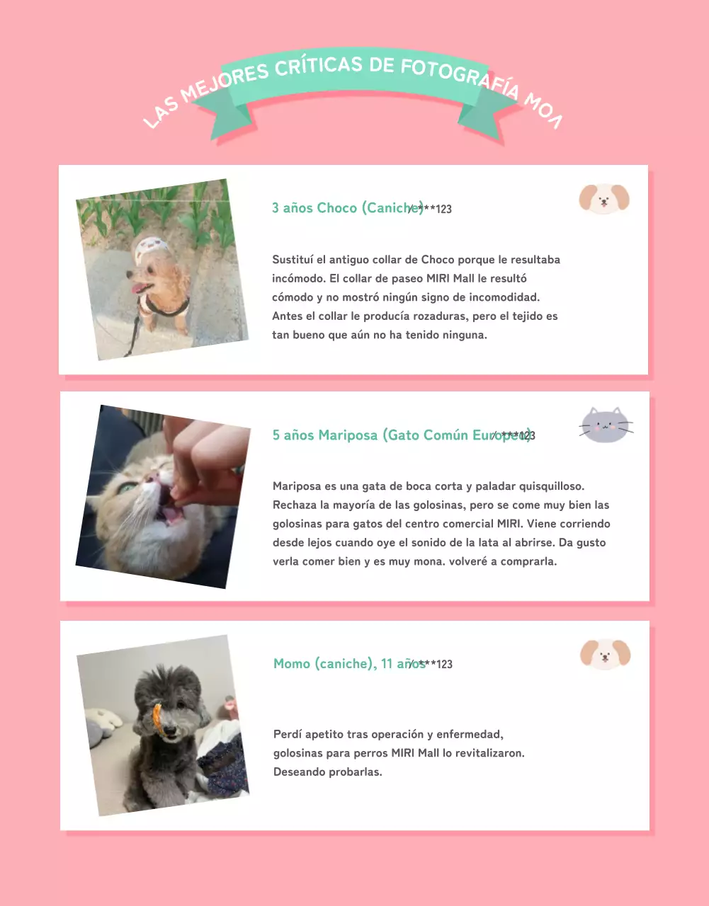 Una colección de bonitos artículos para mascotas en rosa