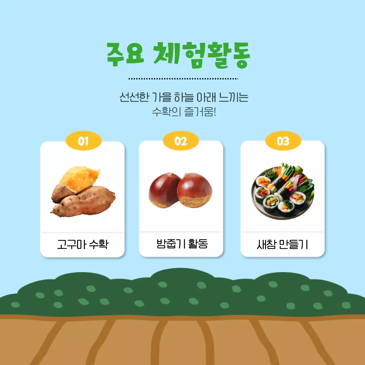 하늘색과 노랑의 아기자기한 가을수확체험 정보