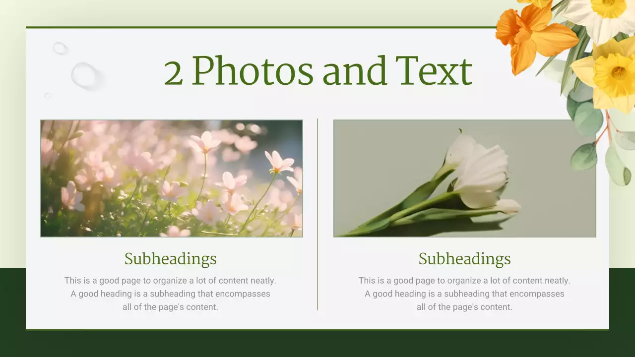 Green Floral Backgrounds Presentation