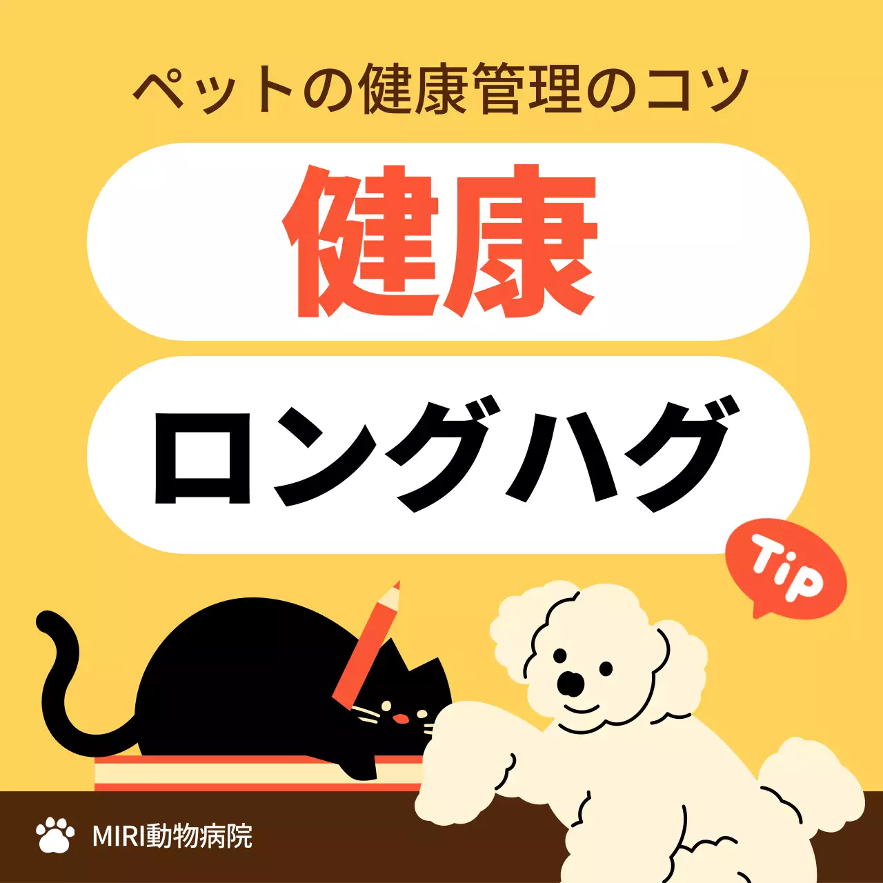 黄色 かわいい ペット ポスター Instagram カルーセル
