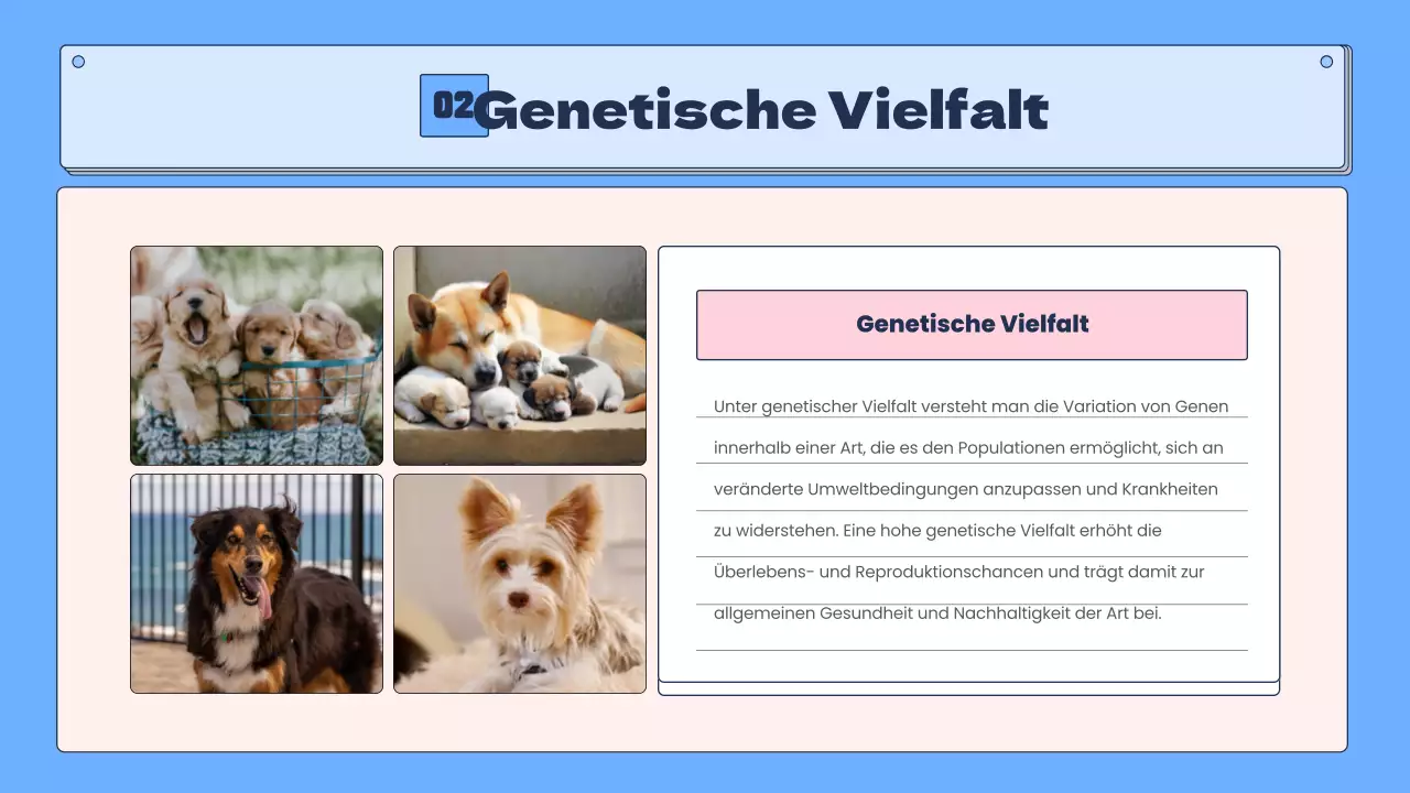 Tropische Artenvielfalt in Blau und Rosa Bildungsressourcen