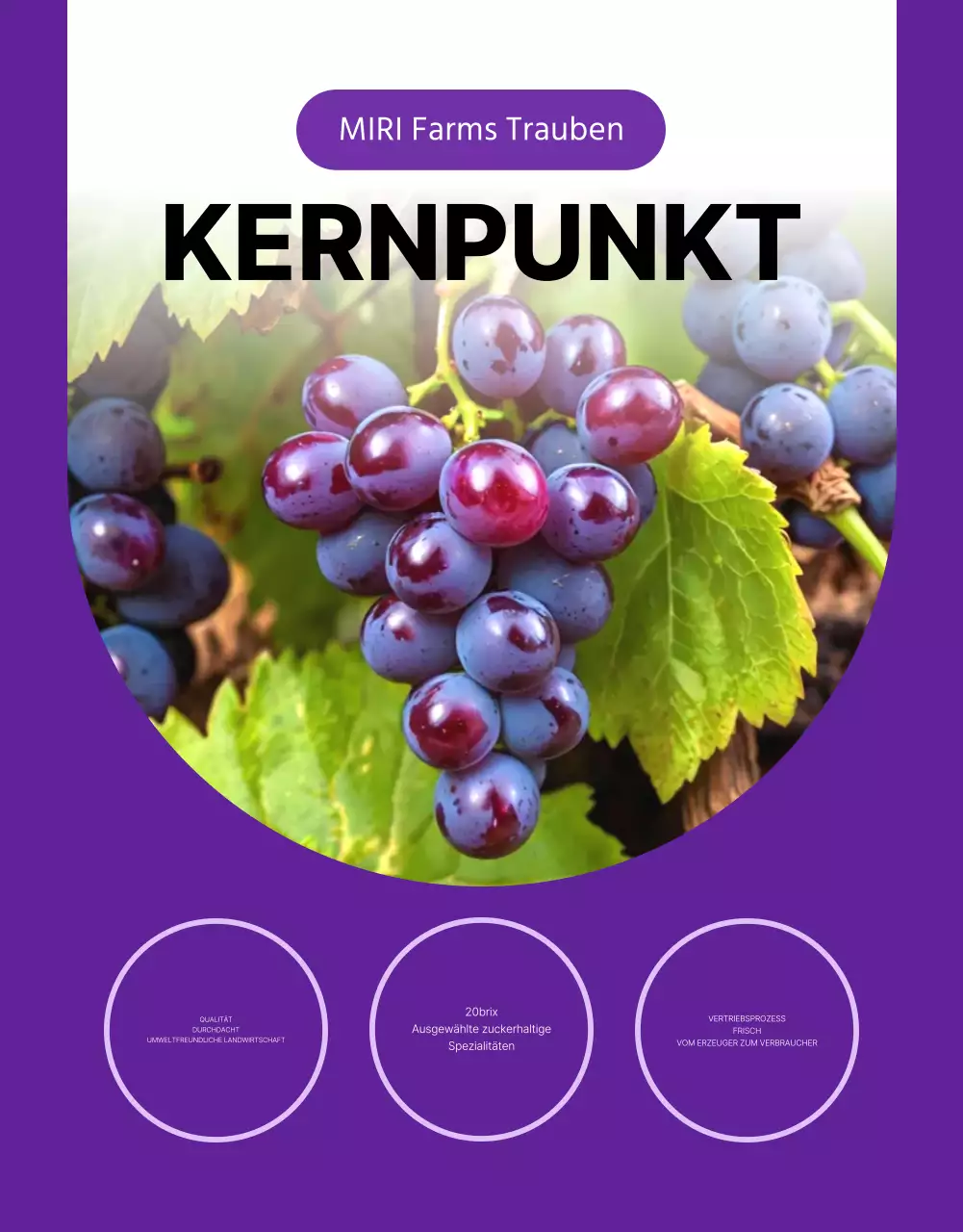 Förderung einfacher, saisonaler Obsttrauben in Lila und Mauve