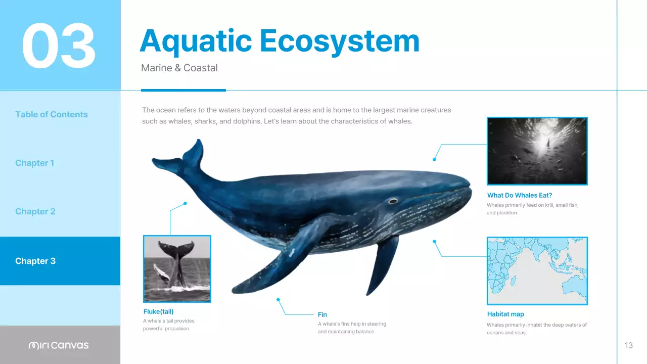 Blue Minimal Animal Guide Presentation