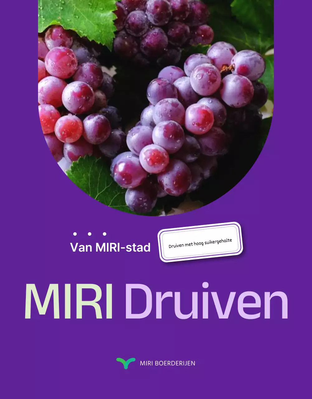 Promoot eenvoudige seizoensfruitdruiven in paars en mauve