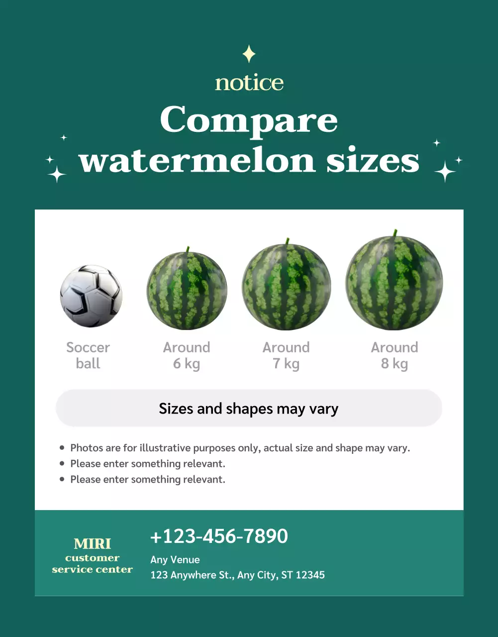Coral Modern Watermelon Promotion Poster