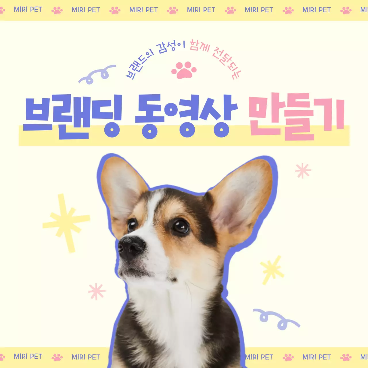 핑크색과 노랑의 아기자기한 애견 브랜드 광고