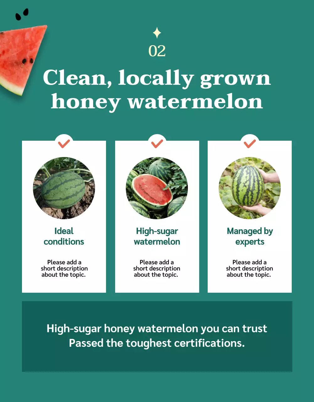 Coral Modern Watermelon Promotion Poster