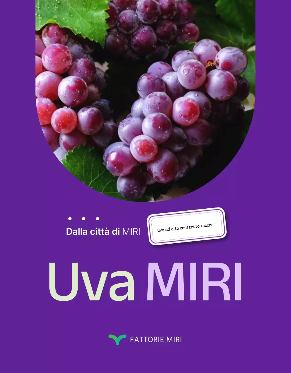 Promuovere l'uva da frutto semplice e di stagione nei colori viola e malva.