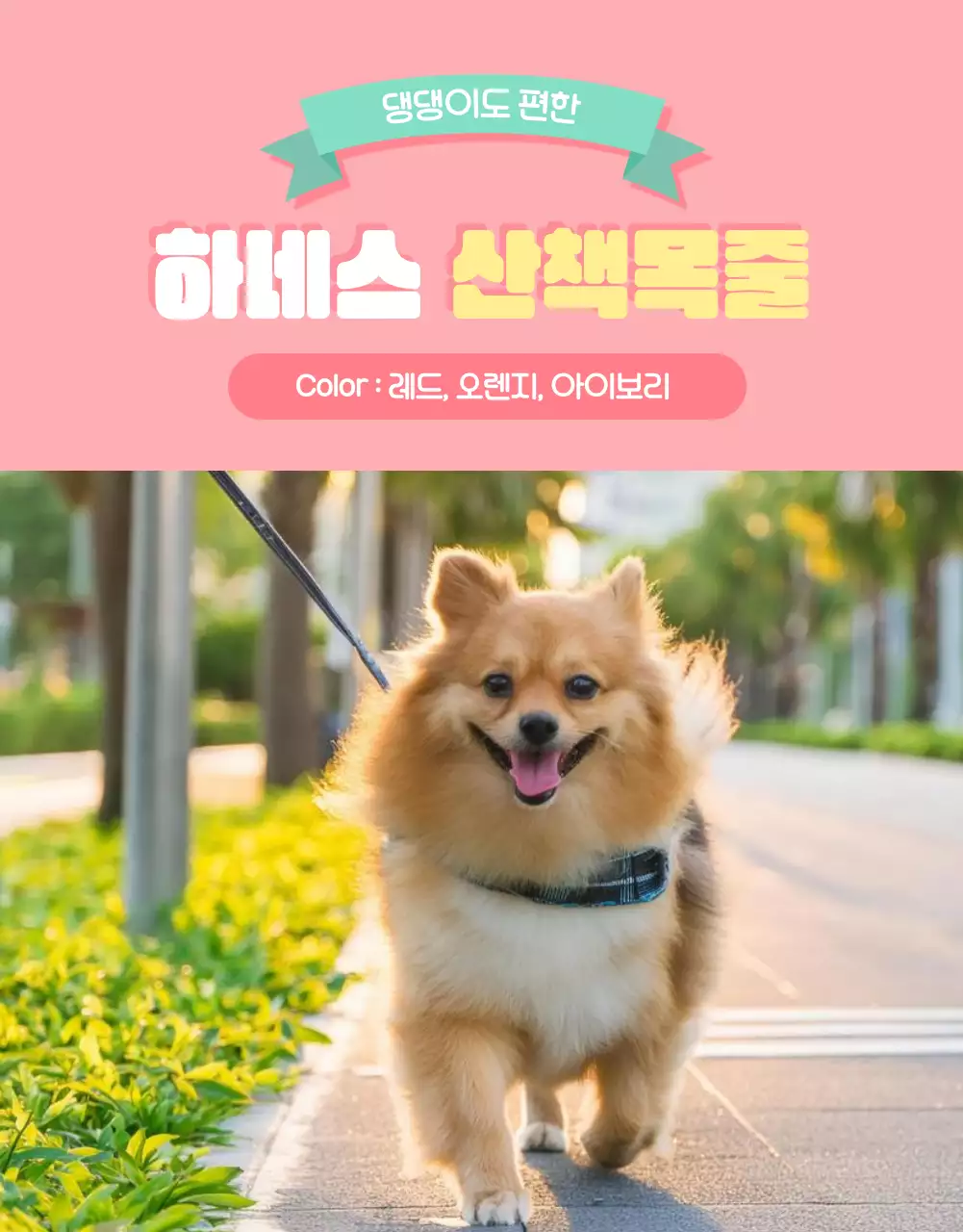 핑크의 아기자기한 반려동물 용품 모음