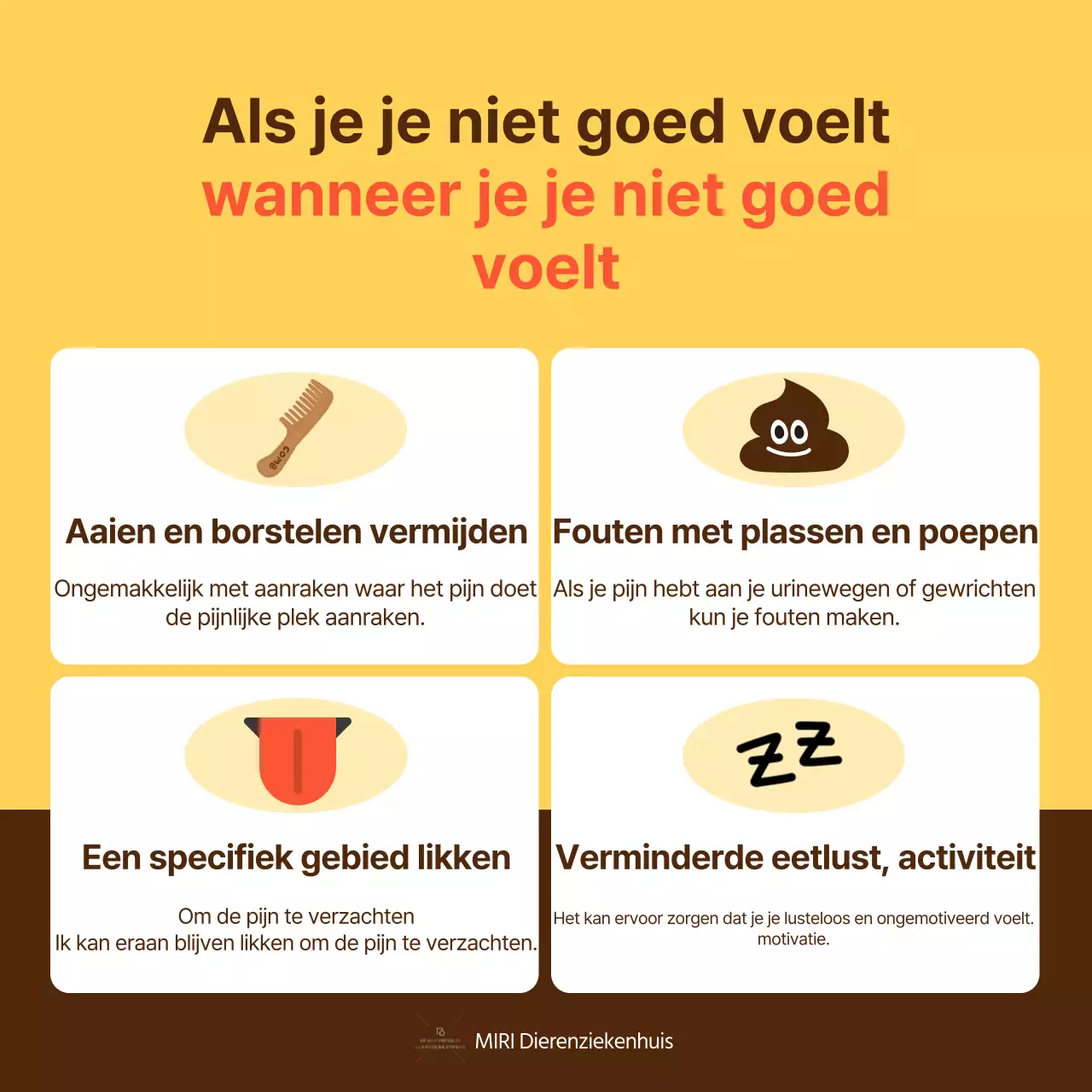 De gele en oranje gids voor de gezondheid van huisdieren