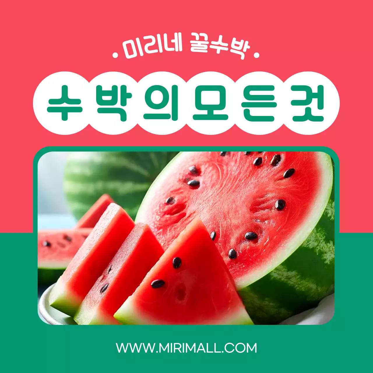 빨강과 초록의 단순한 수박 판매 홍보