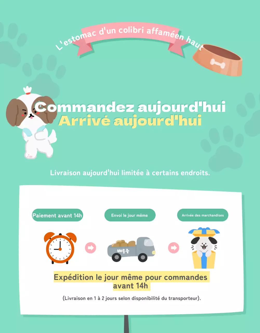 Une collection d'articles mignons pour animaux de compagnie en rose