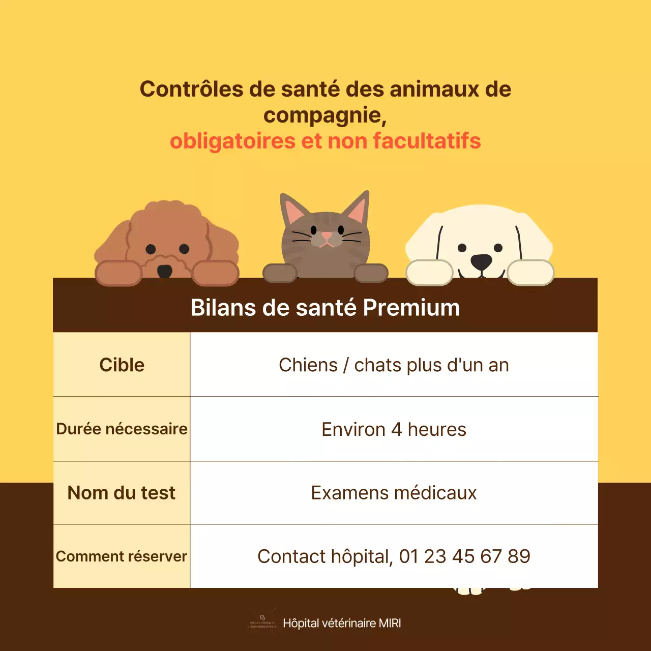Le guide jaune et orange des soins de santé pour les animaux de compagnie