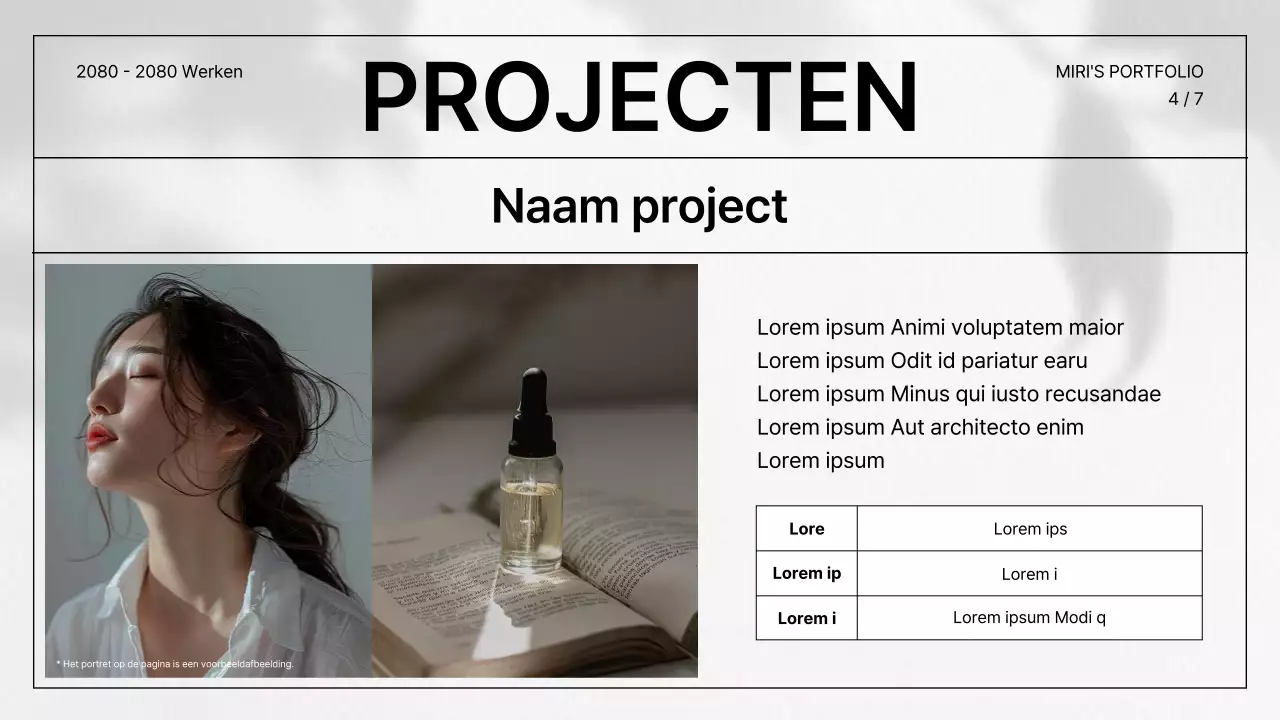 Een eenvoudige CV-portfolio in grijs en zwart