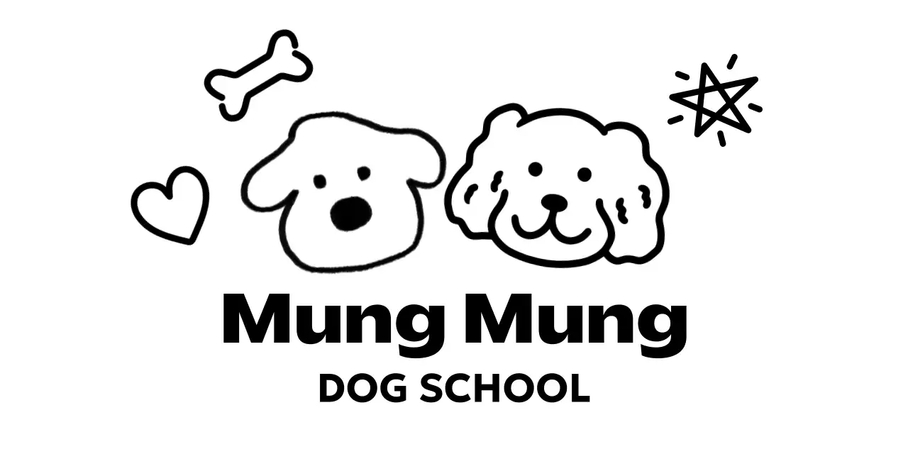 귀여운 강아지 학교 홍보