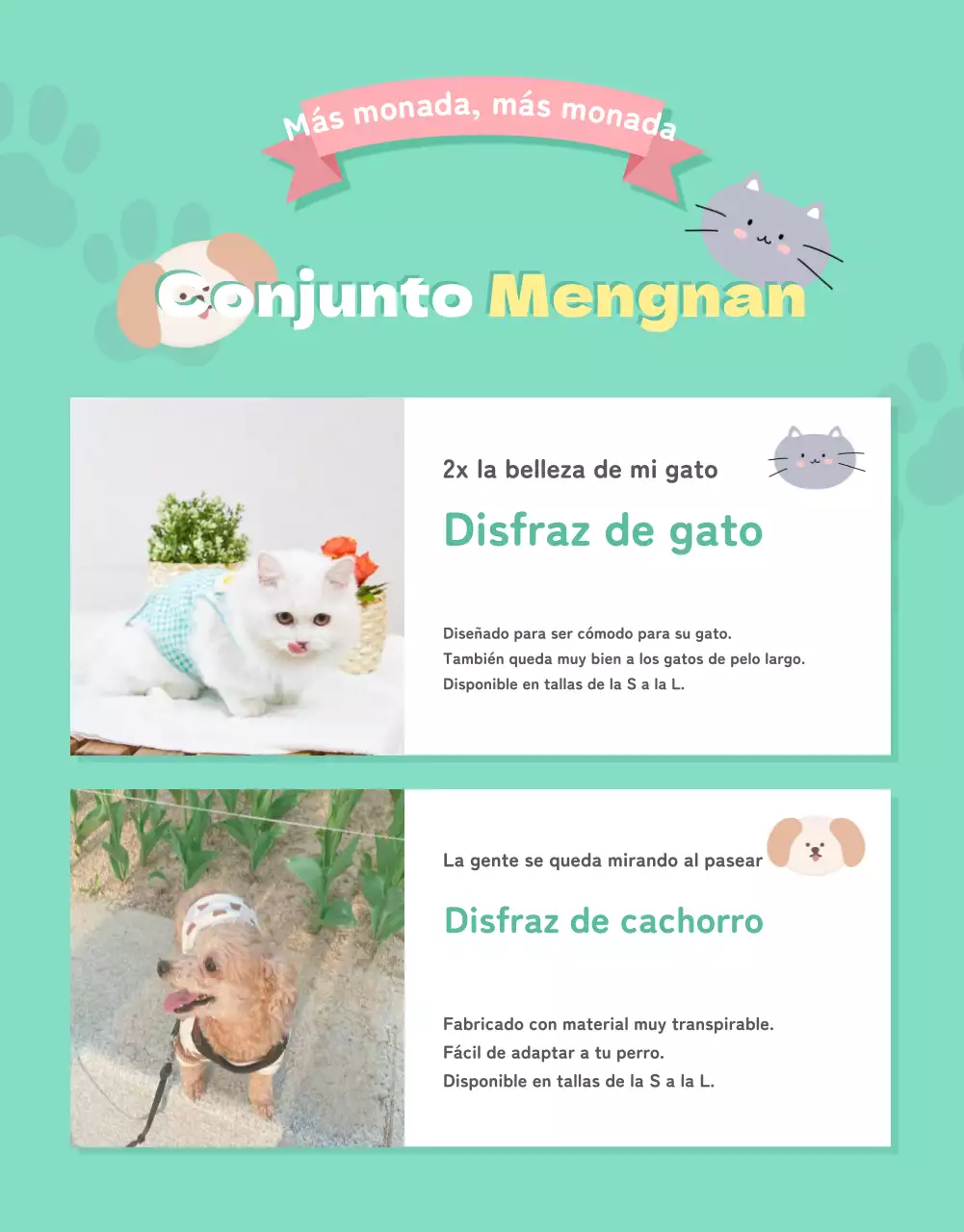 Una colección de bonitos artículos para mascotas en rosa