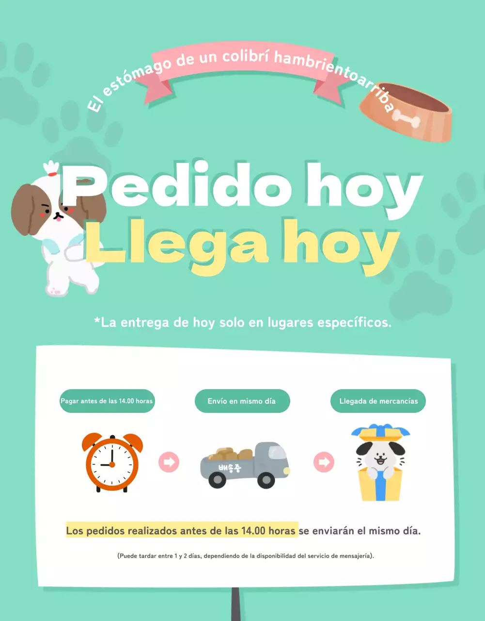 Una colección de bonitos artículos para mascotas en rosa