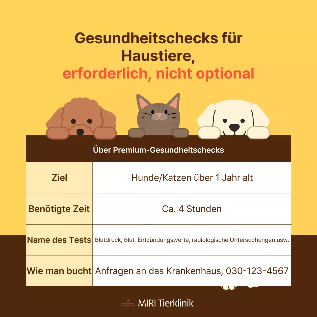 Der gelbe und orangefarbene Leitfaden für die Gesundheitspflege von Haustieren