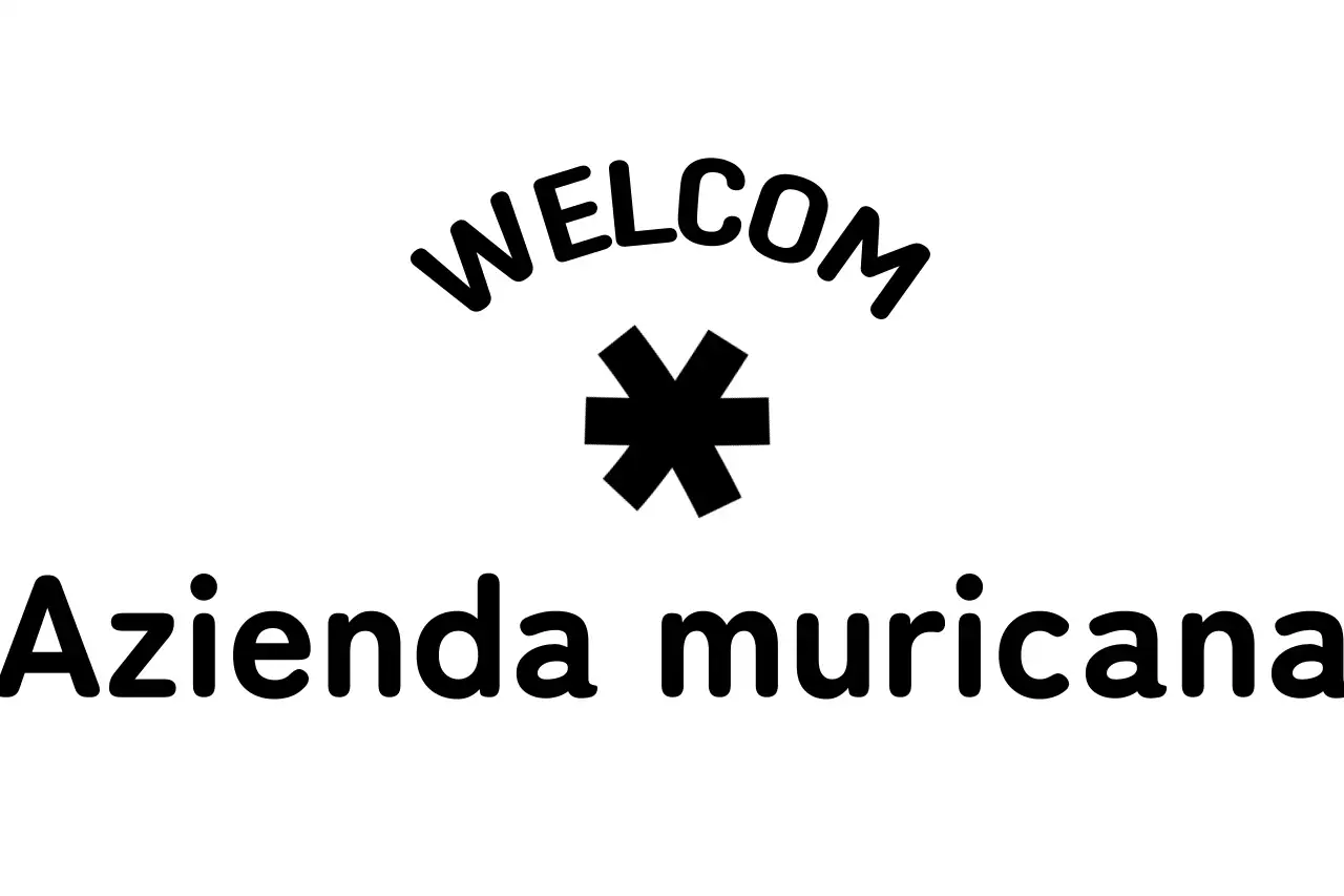 Kit di benvenuto aziendale con logo della stella