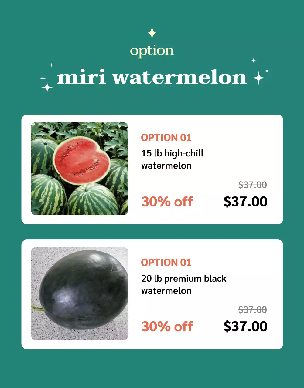 Coral Modern Watermelon Promotion Poster