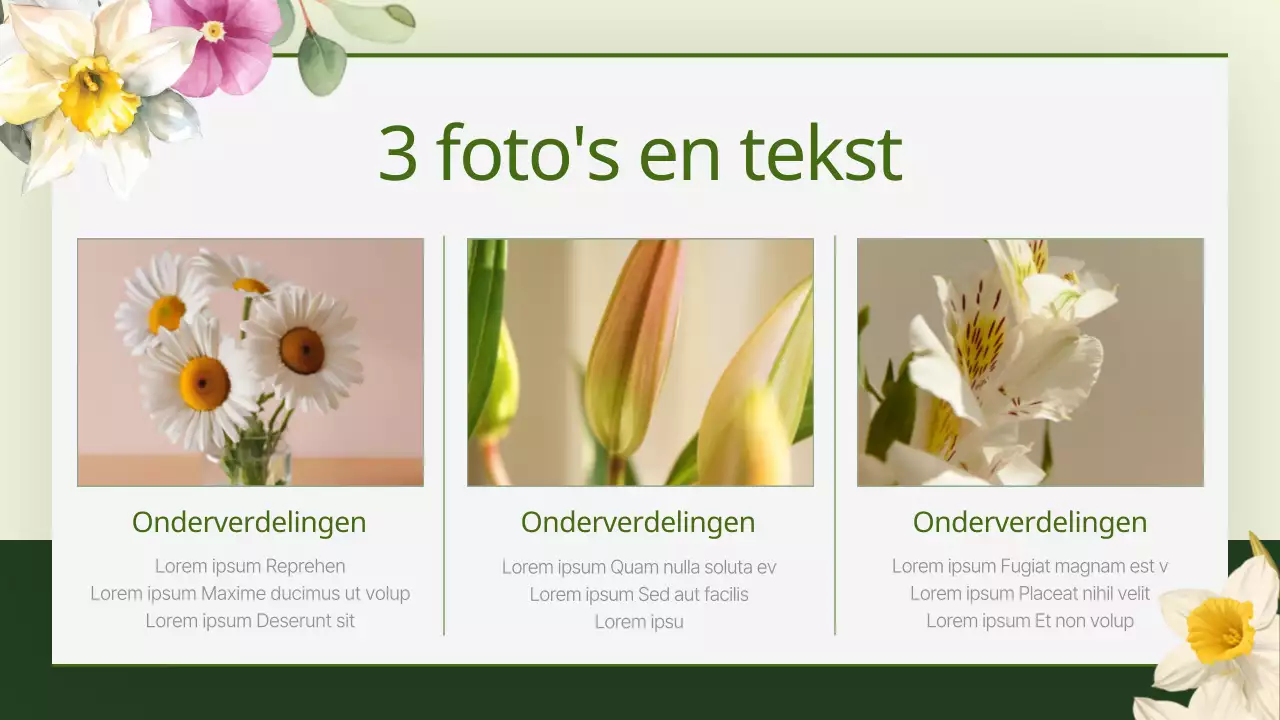 Een gids voor mooie bloemenachtergronden in groen en geel