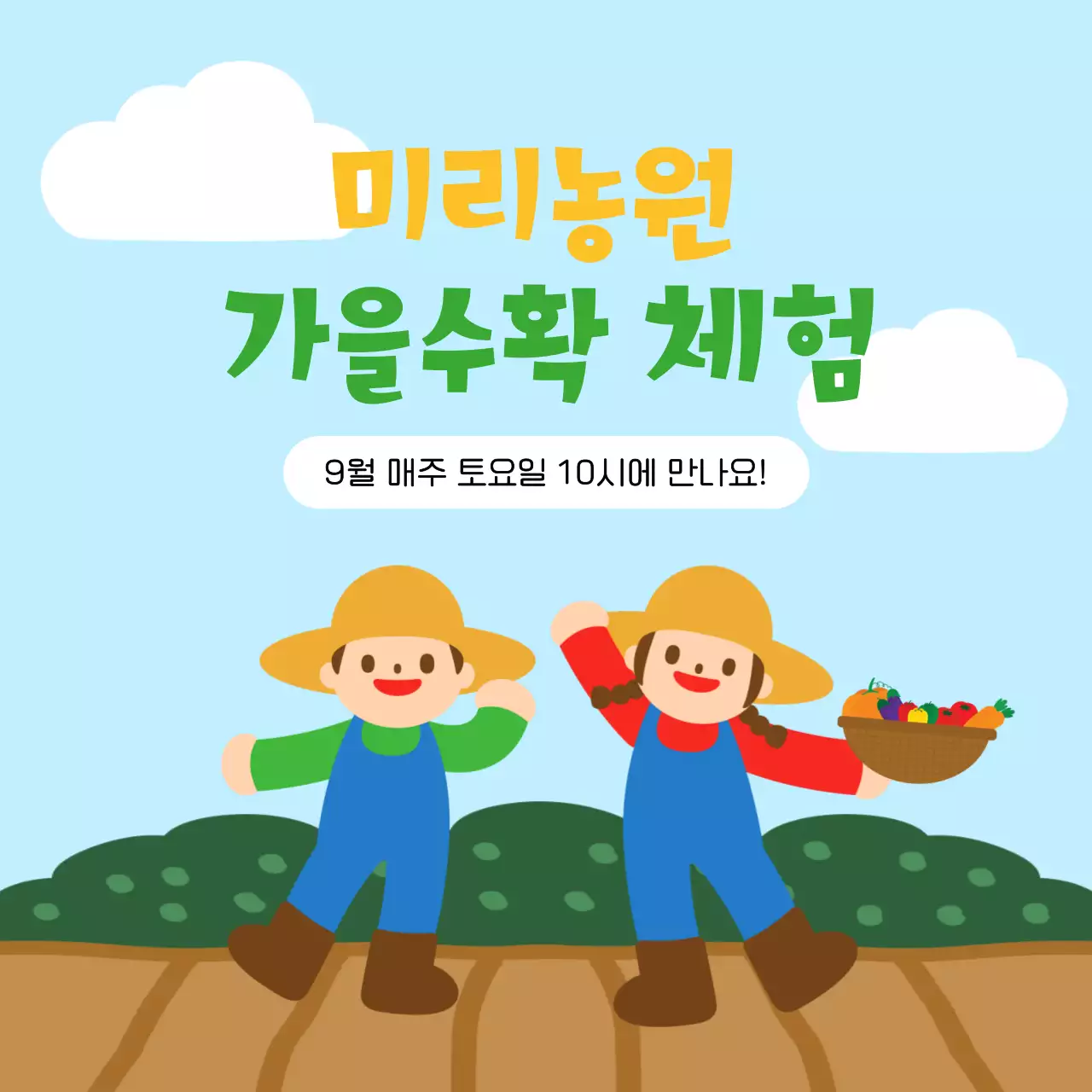 하늘색과 노랑의 아기자기한 가을수확체험 정보