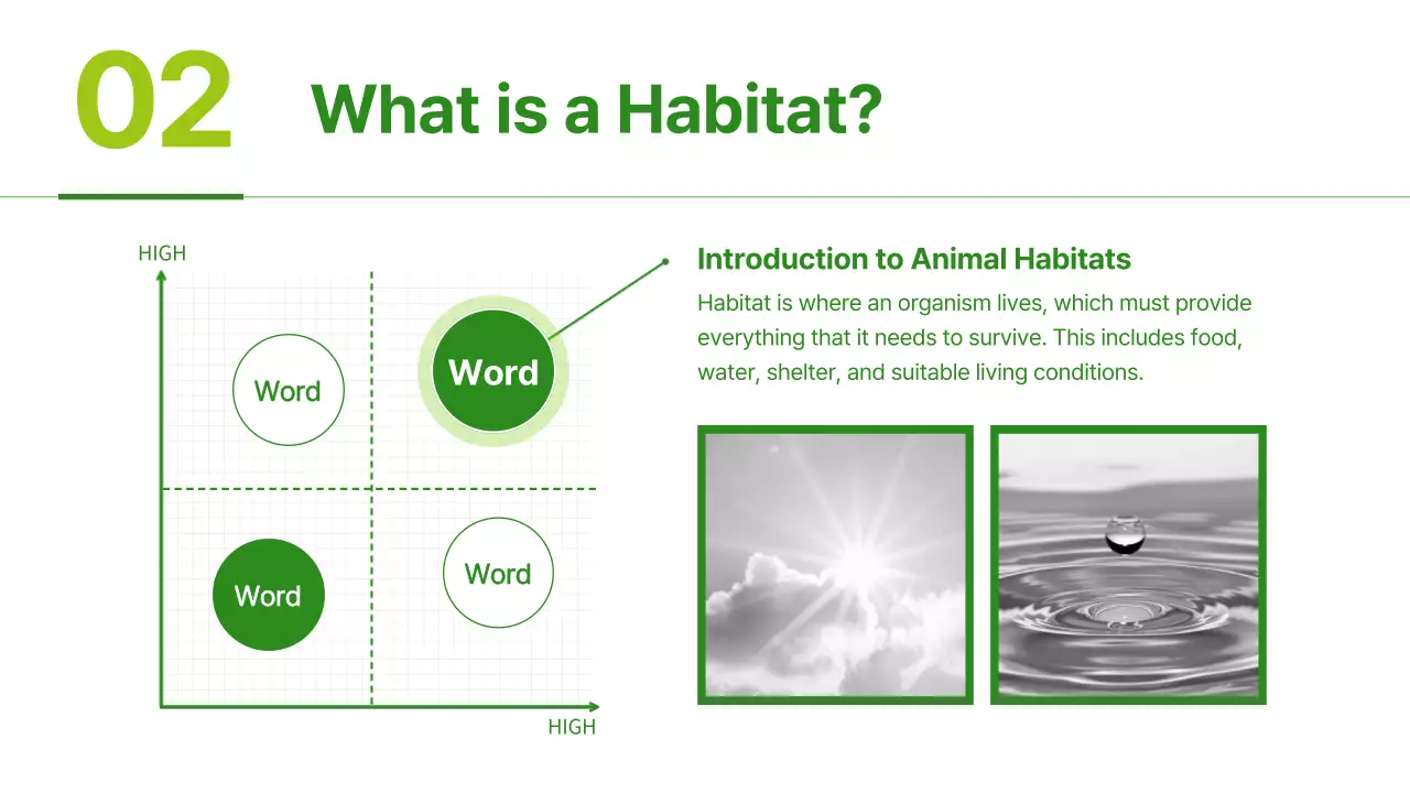 Green Nature Animal Guide Presentation