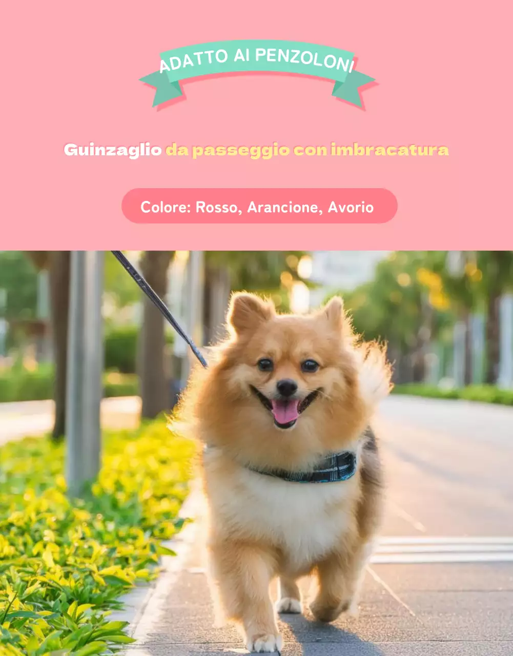 Una collezione di simpatici articoli per animali domestici in rosa