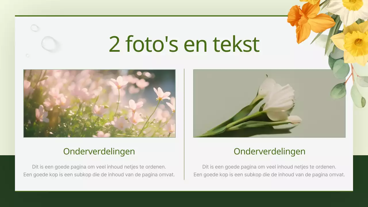 Een gids voor mooie bloemenachtergronden in groen en geel