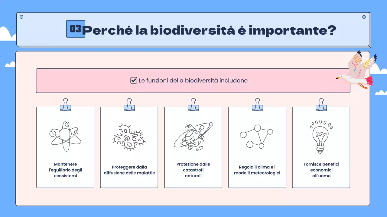 La biodiversità tropicale in blu e rosa Risorse educative