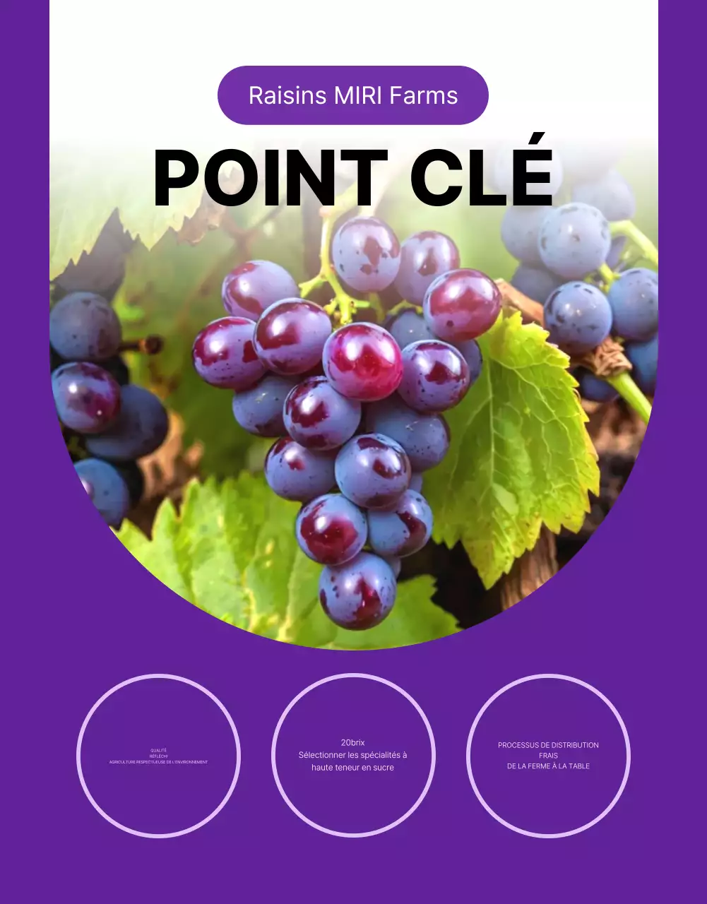 Promouvoir des raisins simples et de saison en violet et mauve