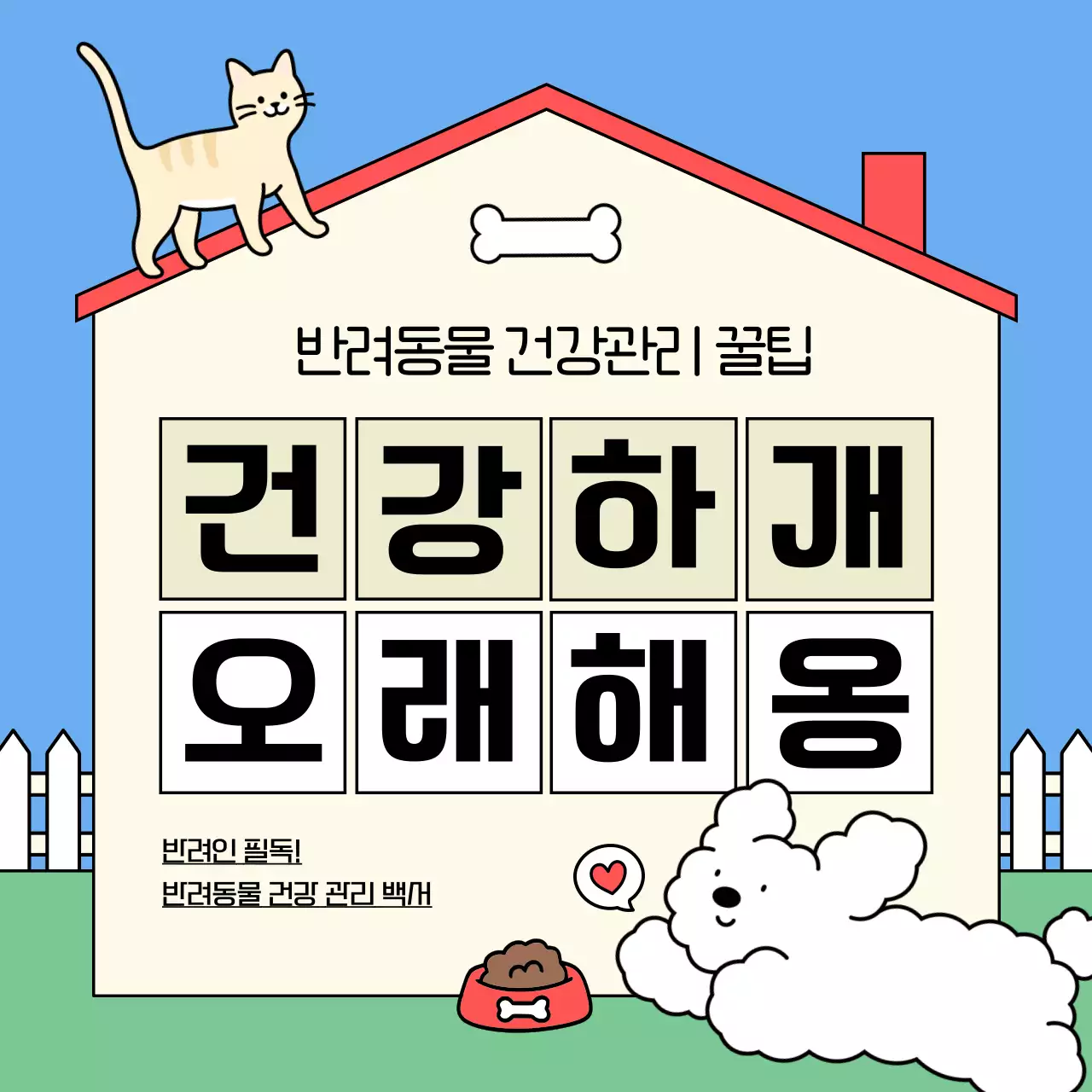 파랑과 초록의 아기자기한 반려동물 건강관리 정보