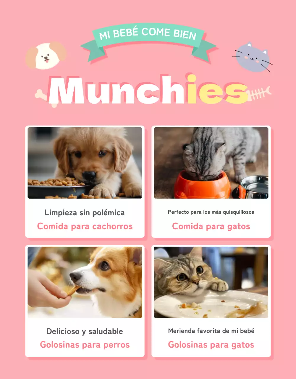Una colección de bonitos artículos para mascotas en rosa