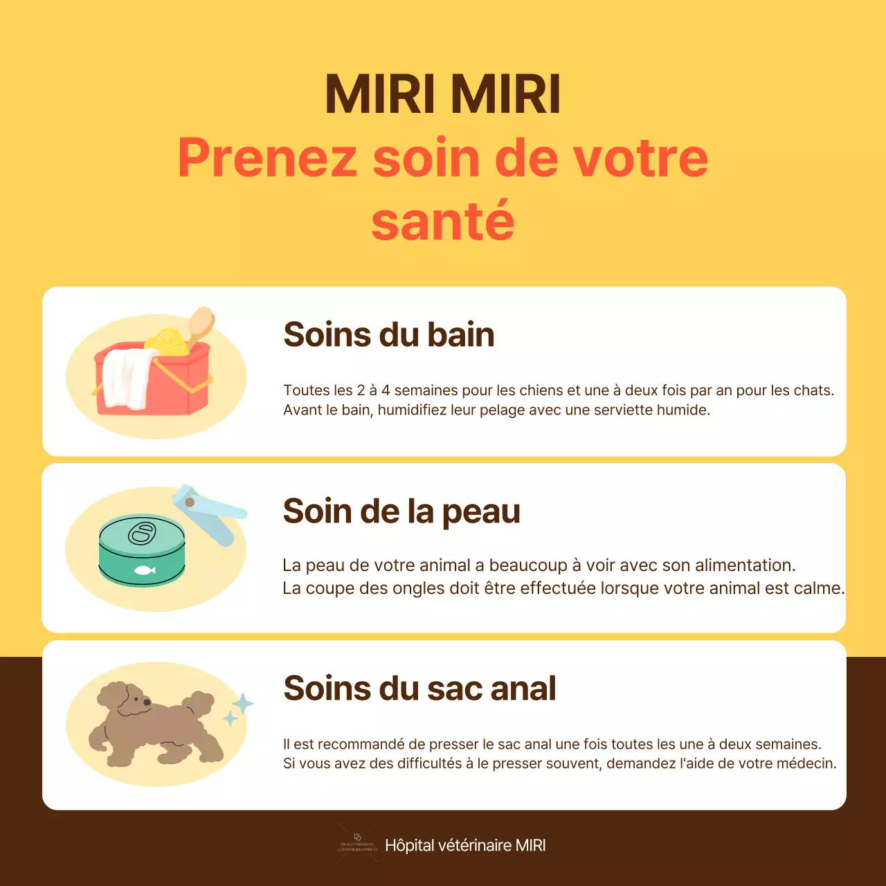 Le guide jaune et orange des soins de santé pour les animaux de compagnie