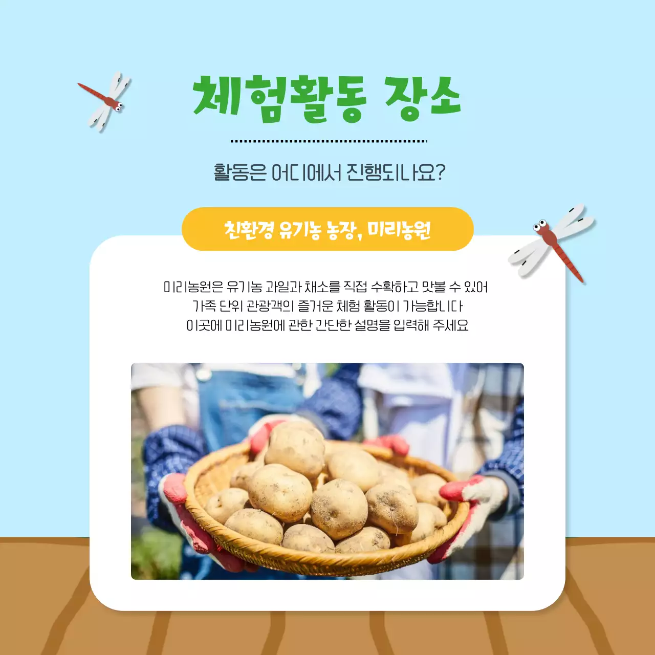 하늘색과 노랑의 아기자기한 가을수확체험 정보