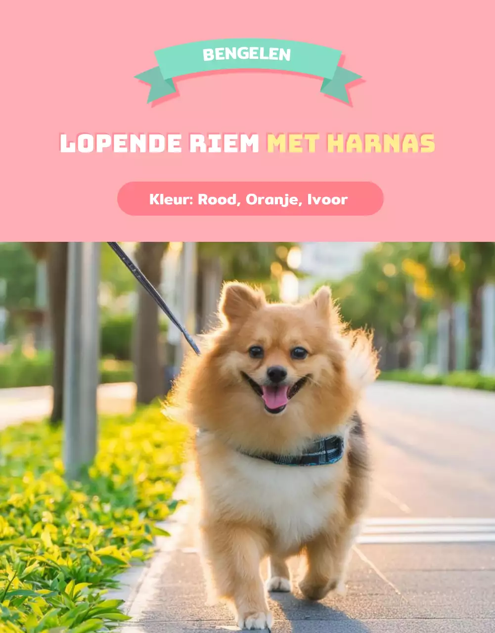 Een verzameling schattige dierenbenodigdheden in roze