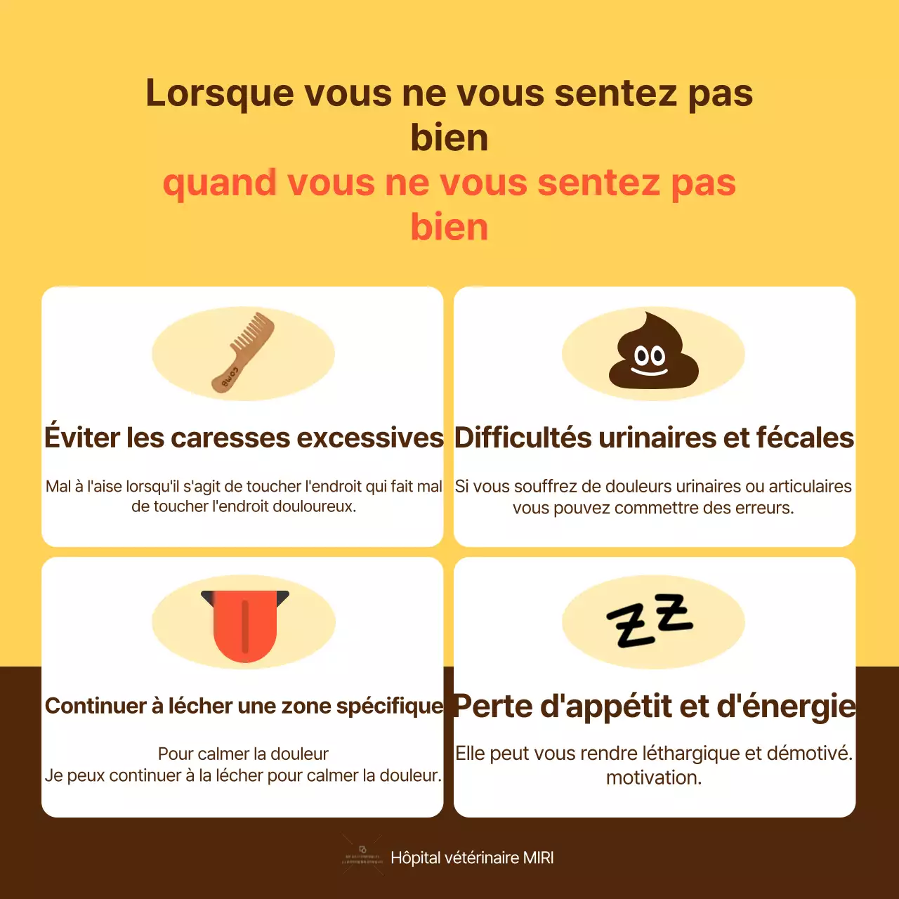 Le guide jaune et orange des soins de santé pour les animaux de compagnie
