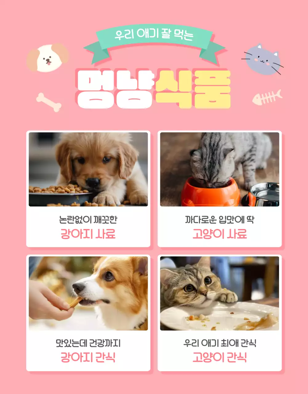 핑크의 아기자기한 반려동물 용품 모음