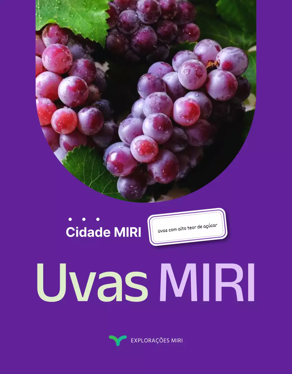 Promover uvas de fruta simples e sazonal em roxo e malva