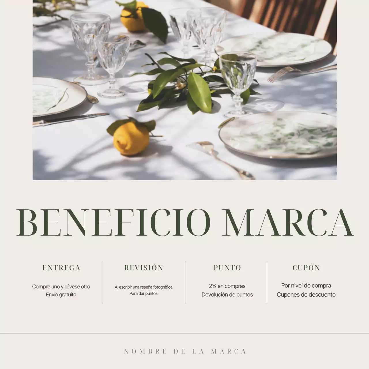 Comercialización de una sencilla marca de vajilla de marfil