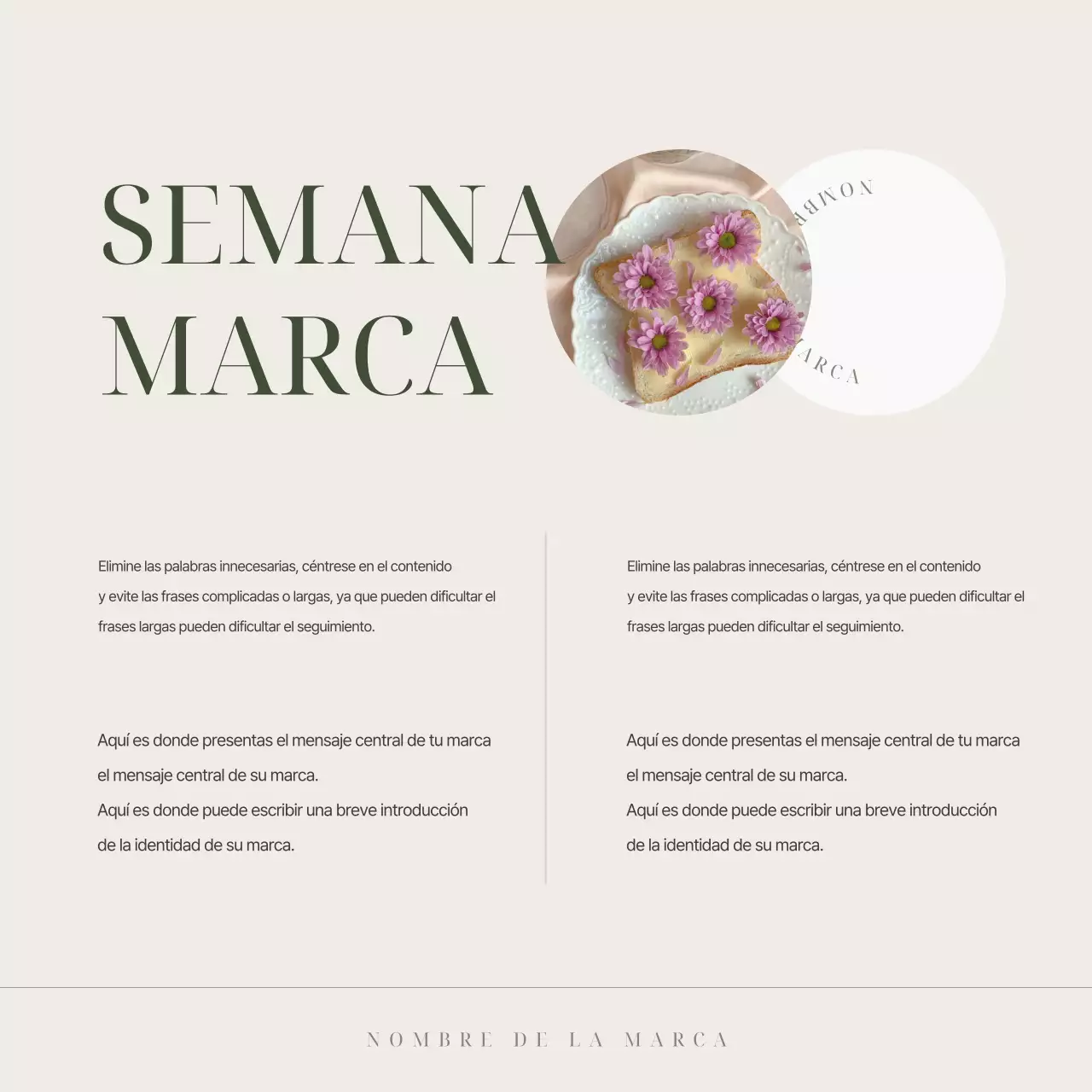 Comercialización de una sencilla marca de vajilla de marfil