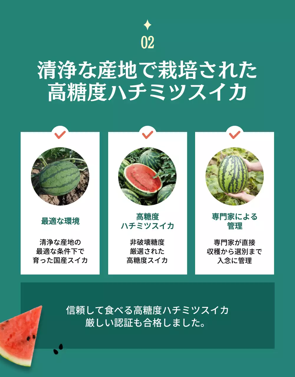 緑 オシャレ スイカ ポスター 詳細ページ