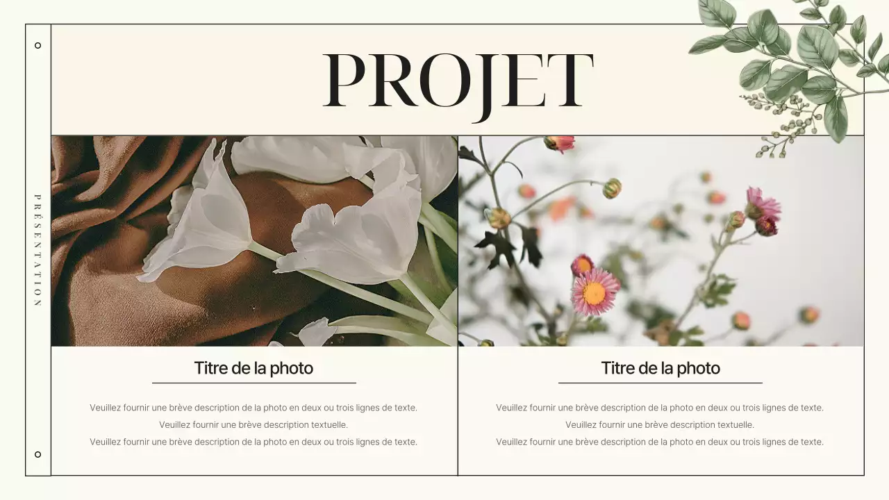 Présentation de la marque Botanic Flowers, luxueuse et de couleur ivoire