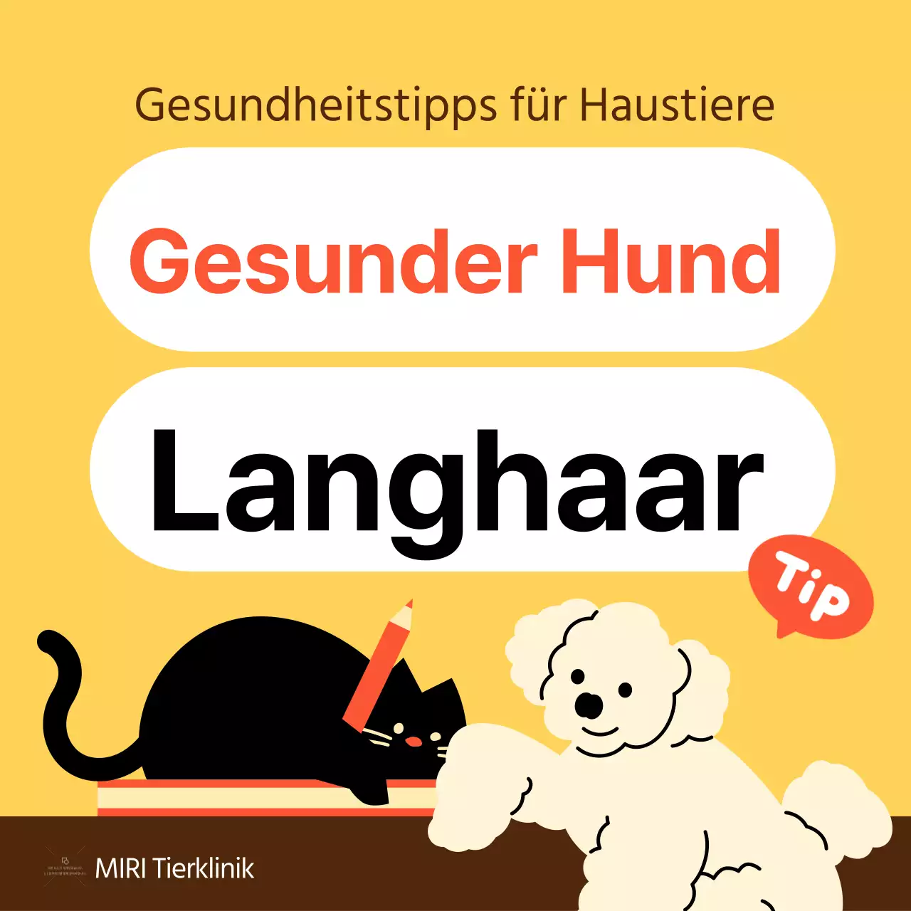 Der gelbe und orangefarbene Leitfaden für die Gesundheitspflege von Haustieren