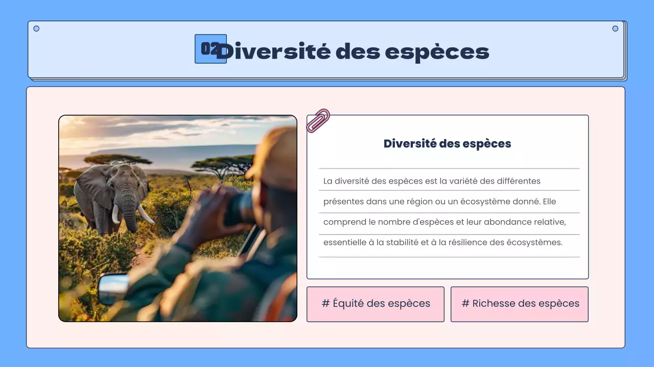 La biodiversité tropicale en bleu et rose Ressources pédagogiques