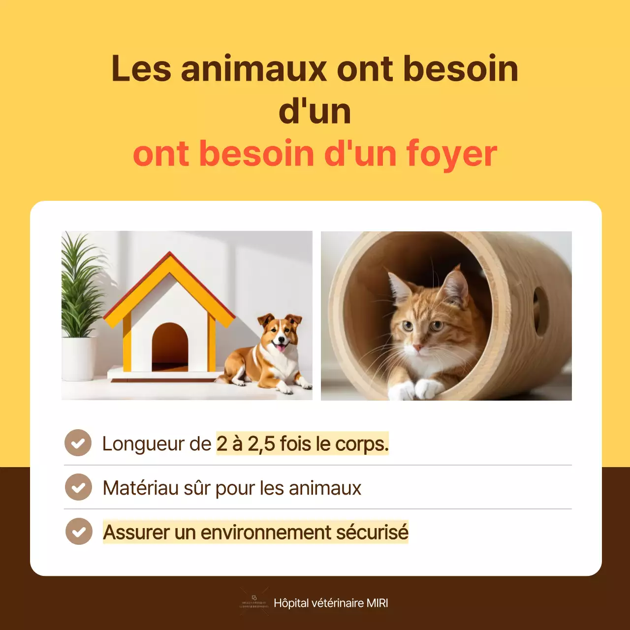 Le guide jaune et orange des soins de santé pour les animaux de compagnie