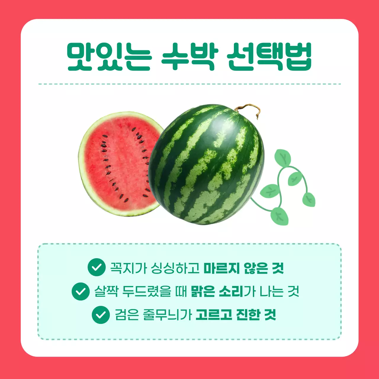 빨강과 초록의 단순한 수박 판매 홍보