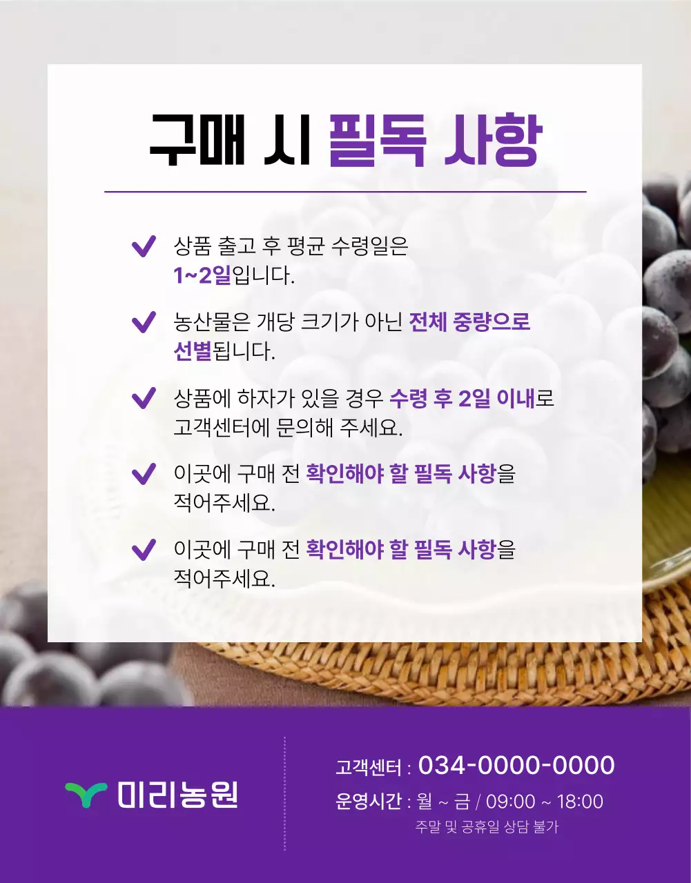 보라색과 연보라색의 심플한 제철 과일 포도 홍보