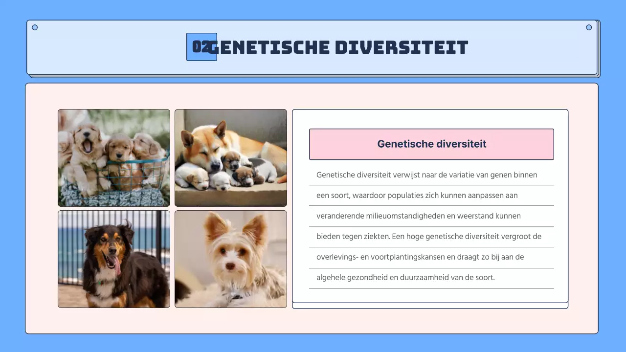 Tropische biodiversiteit in blauw en roze leermiddelen